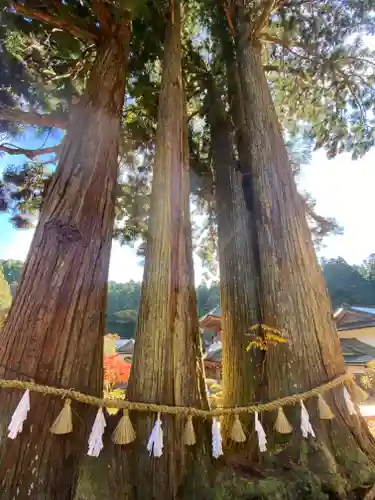 金剛三昧院(和歌山県)