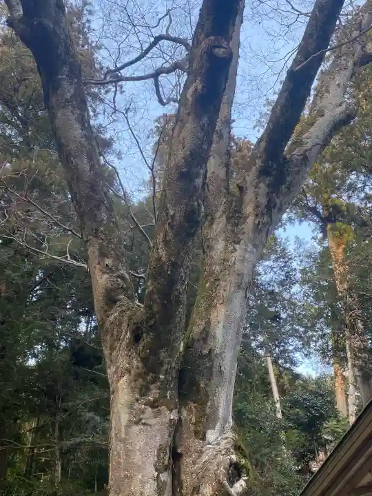 丹生川上神社(下社)(奈良県)