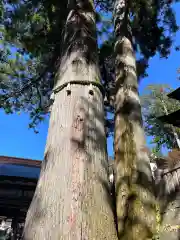 三峯神社(埼玉県)