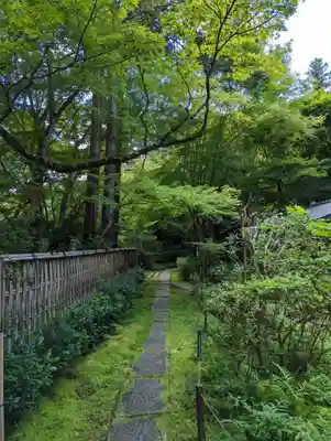 来迎院(京都府)