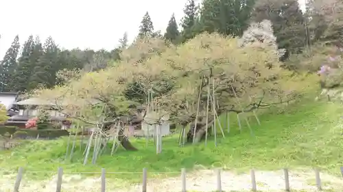 飛騨一宮水無神社の庭園