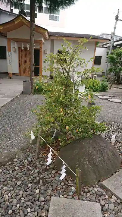 正ノ木稲荷 稲積神社の自然