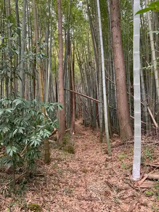 若王神社(千葉県)