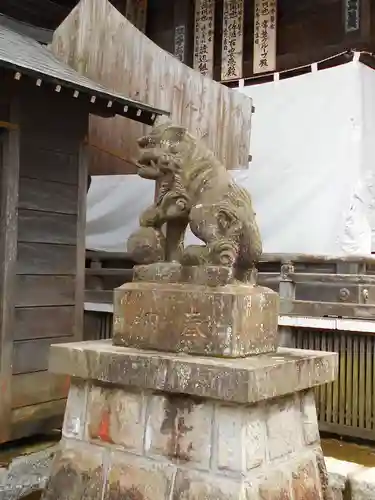 温泉神社〜いわき湯本温泉〜の狛犬