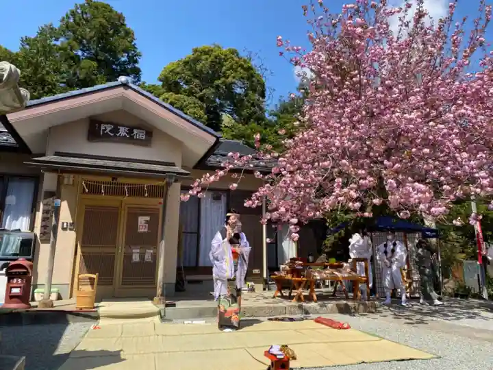観音寺のその他建物