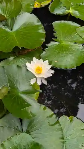 大原野神社(京都府)