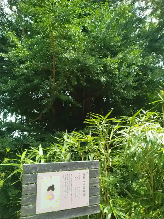 熊野那智神社(宮城県)