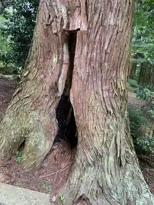 日枝神社(栃木県)