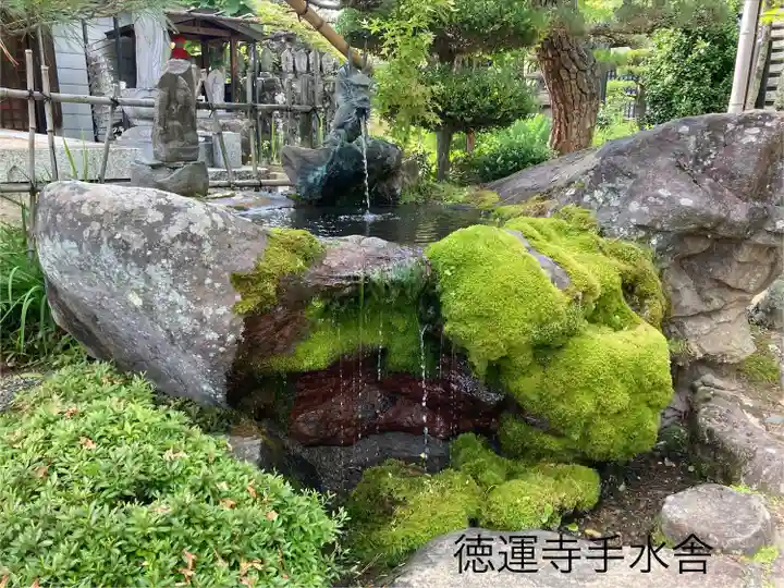 徳運寺(長野県)