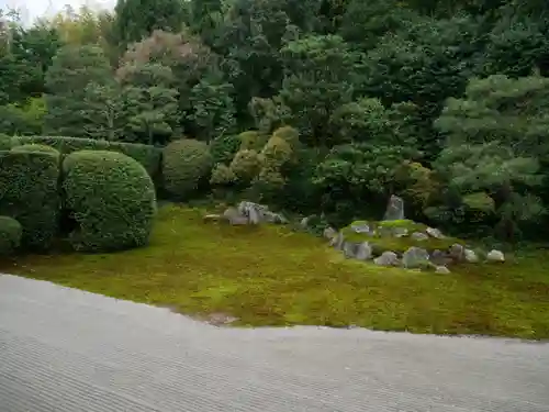 芬陀院の庭園