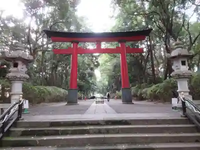 大宮八幡宮の鳥居
