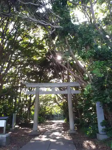 渡海神社の鳥居