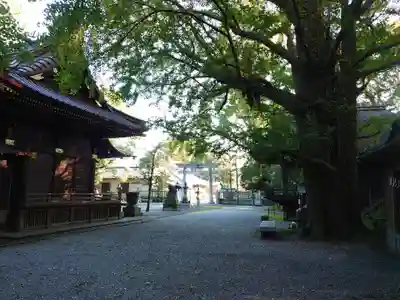 玉敷神社のその他建物