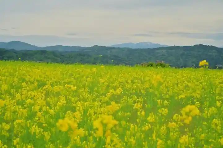 沢山神社(澤山神社)(新潟県)
