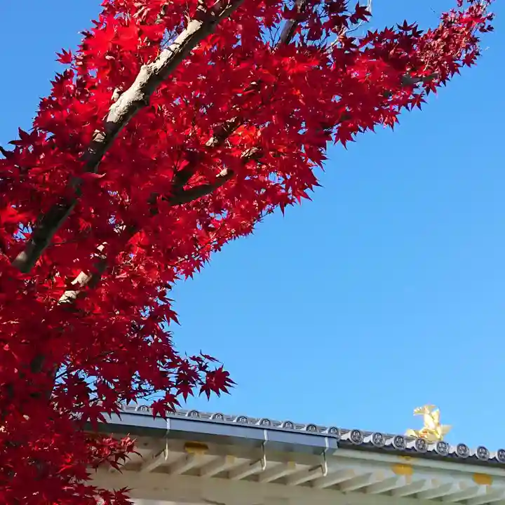 寿量山 速成寺の庭園