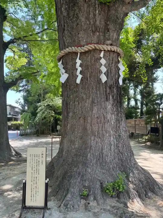 春日部八幡神社の{uncategorized: "未分類", other: "その他", undefined: "問題あり", building: "その他建物", grave: "お墓", sacred_gate: "鳥居", guardian: "狛犬", statue: "像", buddha: "仏像", history: "歴史", nature: "自然", garden: "庭園", animal: "動物", pagoda: "塔", temizu: "手水舎", mountain_gate: "山門・神門", sanctuary: "本殿・本堂", subordinate: "末社・摂社", art: "芸術", scenery: "景色", jizo: "地蔵", ema: "絵馬", goshuin: "御朱印", omikuji: "おみくじ", items: "授与品その他", amulet: "お守り", goshuincho: "御朱印帳", eats: "食事", festival: "お祭り", votive_dance: "神楽", shichigosan: "七五三参", wedding: "結婚式", experience: "体験その他", initially: "初詣", around: "周辺", anti_infection: "感染症対策"}