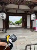 東寺(教王護国寺)(京都府)