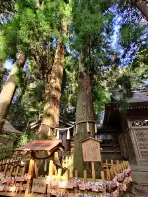 高千穂神社(宮崎県)