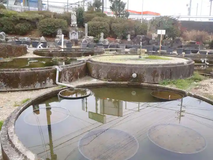 瑞雲寺(愛知県)