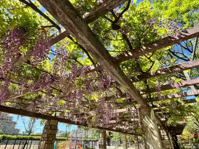 天満宮中之社（廃神社・石碑あり）(大阪府)