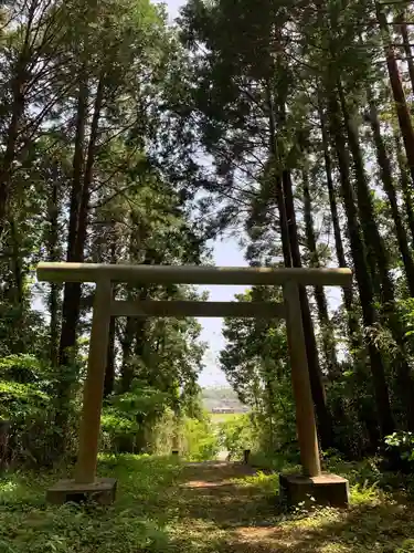 瀧口神社の鳥居