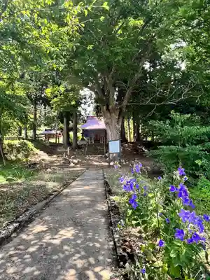 上小菅観音 (山形県)