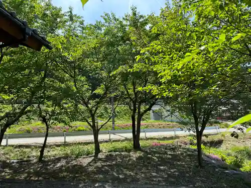 坂門一言神社の庭園