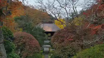 秩父札所三十二番　法性寺(埼玉県)
