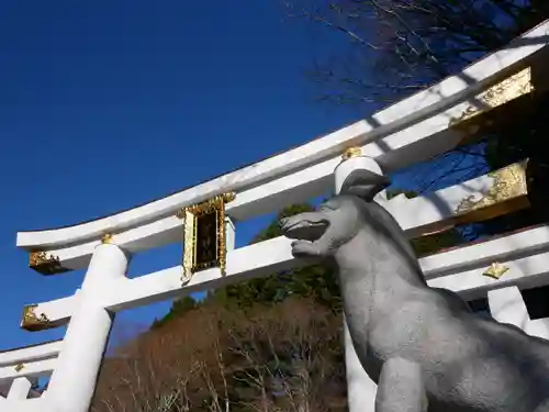 三峯神社の鳥居