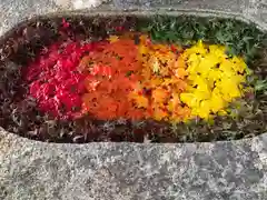 別小江神社の手水