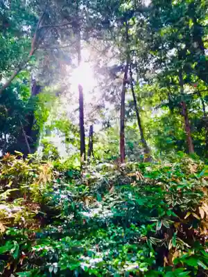 阿夫利神社の周辺