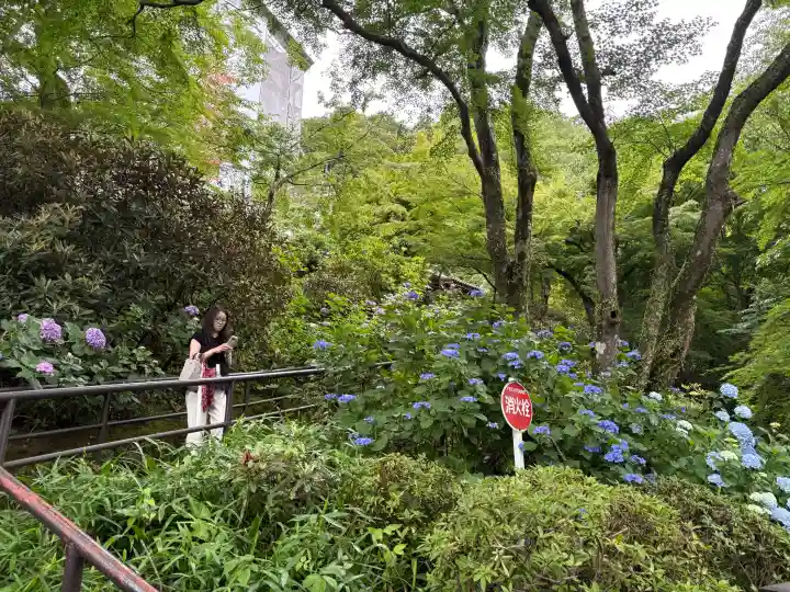 長谷寺(奈良県)