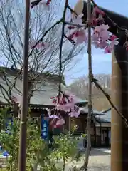 大山祇神社(茨城県)