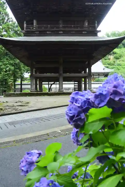 円覚寺(神奈川県)