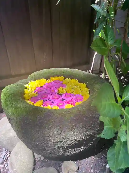 菅生神社の手水舎