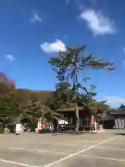 長浜八幡宮の建物その他