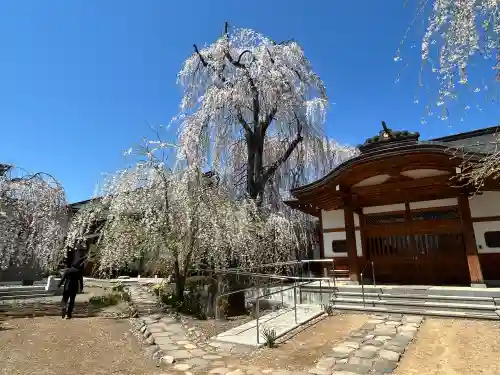 安養寺の{uncategorized: "未分類", other: "その他", undefined: "問題あり", building: "その他建物", grave: "お墓", sacred_gate: "鳥居", guardian: "狛犬", statue: "像", buddha: "仏像", history: "歴史", nature: "自然", garden: "庭園", animal: "動物", pagoda: "塔", temizu: "手水舎", mountain_gate: "山門・神門", sanctuary: "本殿・本堂", subordinate: "末社・摂社", art: "芸術", scenery: "景色", jizo: "地蔵", ema: "絵馬", goshuin: "御朱印", omikuji: "おみくじ", items: "授与品その他", amulet: "お守り", goshuincho: "御朱印帳", eats: "食事", festival: "お祭り", votive_dance: "神楽", shichigosan: "七五三参", wedding: "結婚式", experience: "体験その他", initially: "初詣", around: "周辺", anti_infection: "感染症対策"}