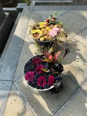 徳星寺(埼玉県)