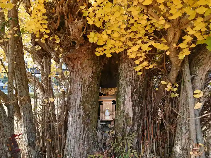 祠の本殿・本堂