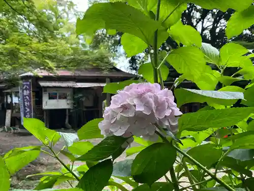 石清水八幡宮(京都府)