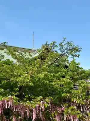 桜神宮の{uncategorized: "未分類", other: "その他", undefined: "問題あり", building: "その他建物", grave: "お墓", sacred_gate: "鳥居", guardian: "狛犬", statue: "像", buddha: "仏像", history: "歴史", nature: "自然", garden: "庭園", animal: "動物", pagoda: "塔", temizu: "手水舎", mountain_gate: "山門・神門", sanctuary: "本殿・本堂", subordinate: "末社・摂社", art: "芸術", scenery: "景色", jizo: "地蔵", ema: "絵馬", goshuin: "御朱印", omikuji: "おみくじ", items: "授与品その他", amulet: "お守り", goshuincho: "御朱印帳", eats: "食事", festival: "お祭り", votive_dance: "神楽", shichigosan: "七五三参", wedding: "結婚式", experience: "体験その他", initially: "初詣", around: "周辺", anti_infection: "感染症対策"}