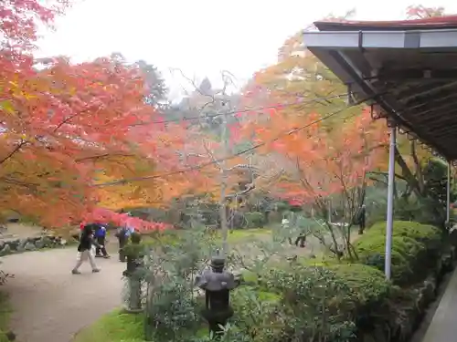 西明寺の庭園