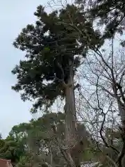 稲荷神社(千葉県)