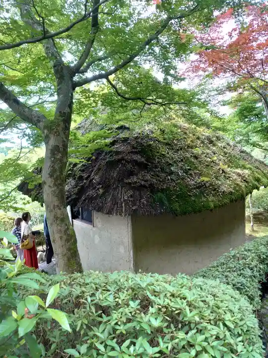 華厳寺(鈴虫寺)(京都府)