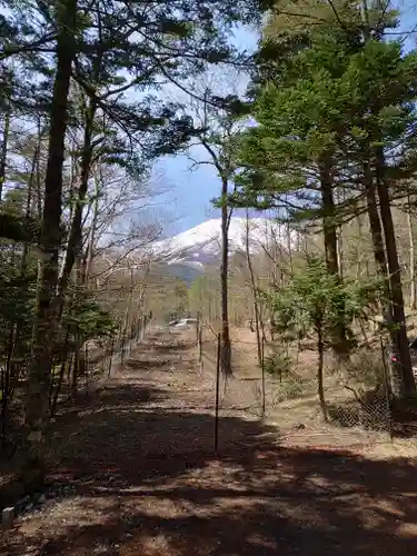 新屋山神社奥宮の景色