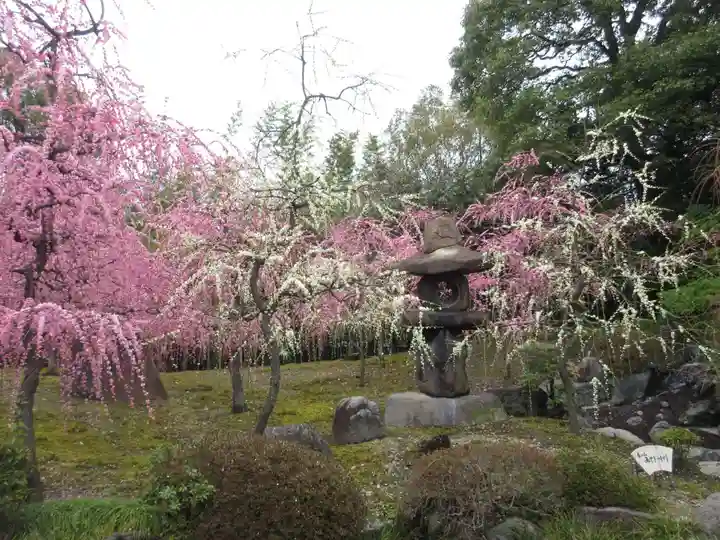 城南宮(京都府)