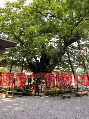 秩父今宮神社の自然