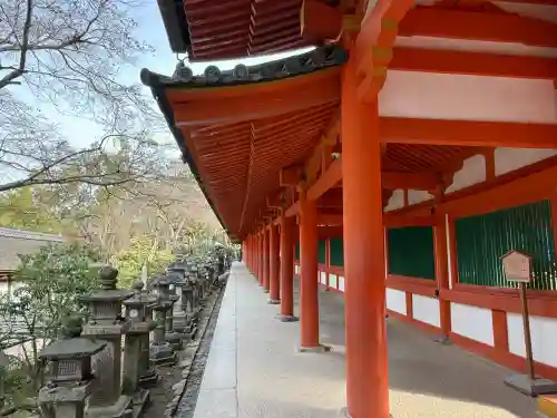 春日大社(奈良県)