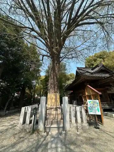 田無神社の{uncategorized: "未分類", other: "その他", undefined: "問題あり", building: "その他建物", grave: "お墓", sacred_gate: "鳥居", guardian: "狛犬", statue: "像", buddha: "仏像", history: "歴史", nature: "自然", garden: "庭園", animal: "動物", pagoda: "塔", temizu: "手水舎", mountain_gate: "山門・神門", sanctuary: "本殿・本堂", subordinate: "末社・摂社", art: "芸術", scenery: "景色", jizo: "地蔵", ema: "絵馬", goshuin: "御朱印", omikuji: "おみくじ", items: "授与品その他", amulet: "お守り", goshuincho: "御朱印帳", eats: "食事", festival: "お祭り", votive_dance: "神楽", shichigosan: "七五三参", wedding: "結婚式", experience: "体験その他", initially: "初詣", around: "周辺", anti_infection: "感染症対策"}