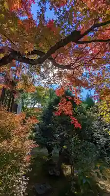 実光院(京都府)